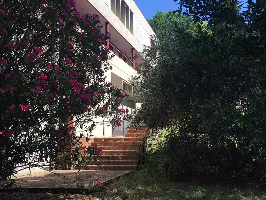 Immagine 23 di Villa in vendita  in via di San Miniato a Signa