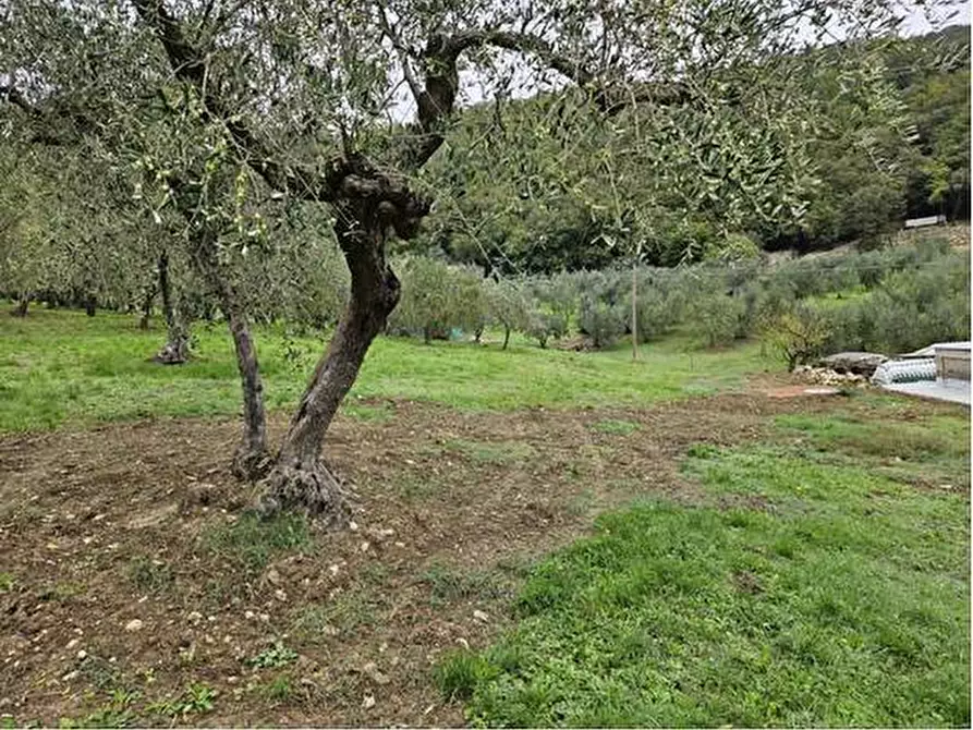Immagine 7 di Terreno agricolo in vendita  in Località Secciano a Calenzano