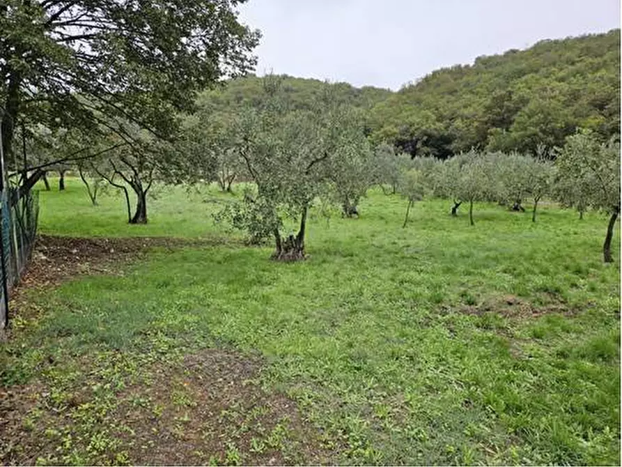 Immagine 8 di Terreno agricolo in vendita  in Località Secciano a Calenzano