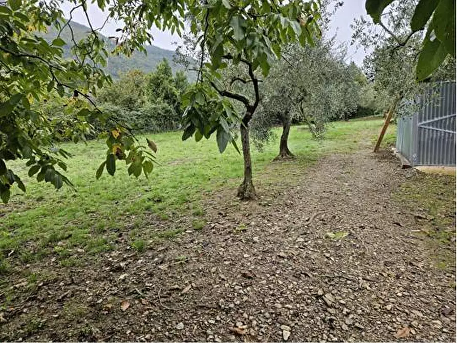Immagine 10 di Terreno agricolo in vendita  in Località Secciano a Calenzano