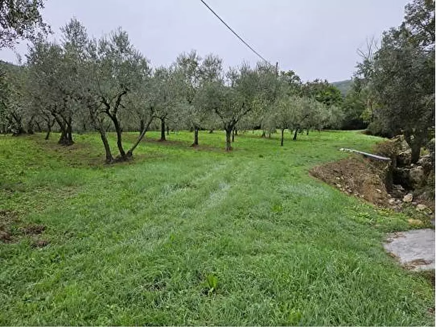 Immagine 1 di Terreno agricolo in vendita  in Località Secciano a Calenzano