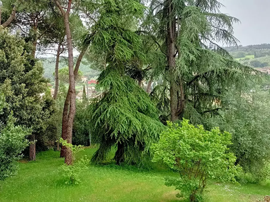 Immagine 8 di Villa in vendita  in via di San Miniato a Signa