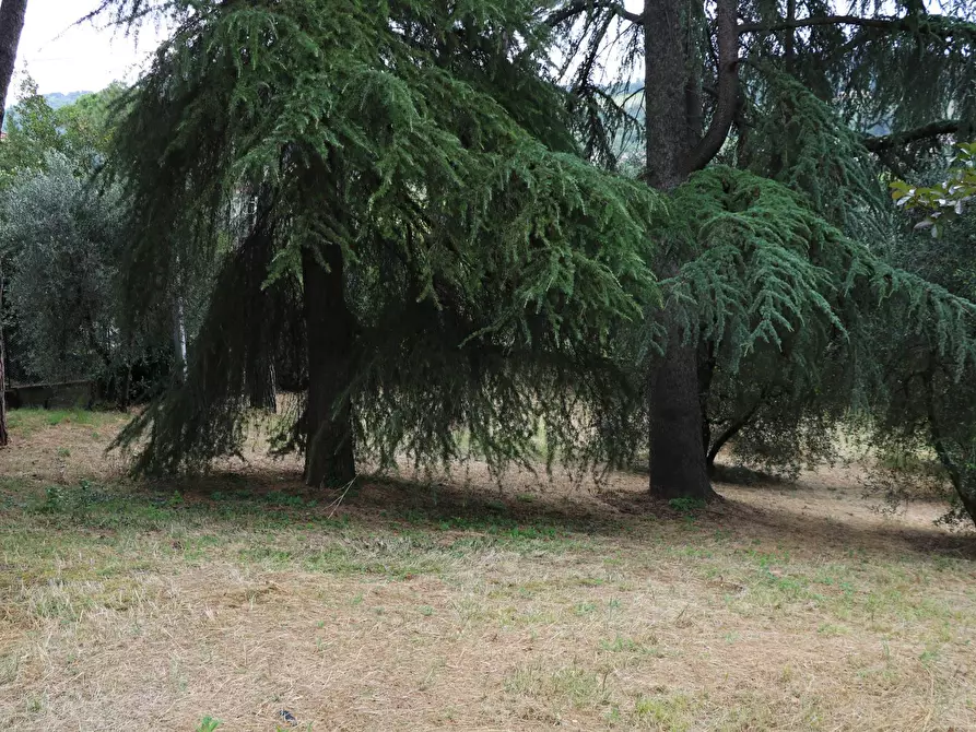 Immagine 38 di Villa in vendita  in via di San Miniato a Signa