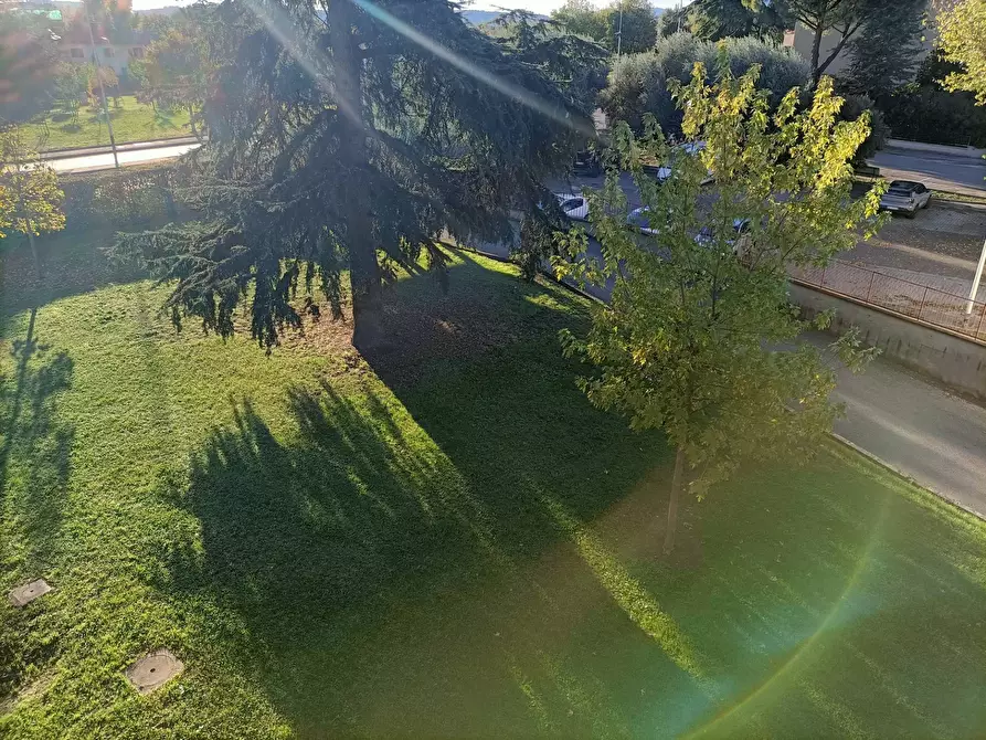 Immagine 8 di Appartamento in vendita  in Via San Bartolo A Cintoia a Firenze