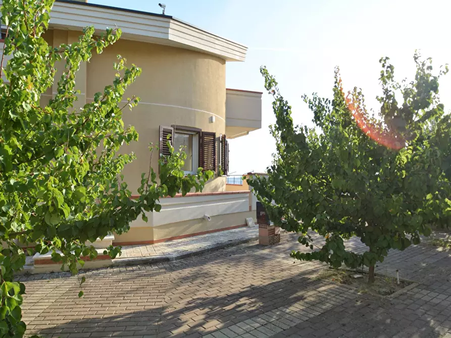 Immagine 37 di Casa semindipendente in vendita  in Via Francesco Lenge s.n. a Montescaglioso