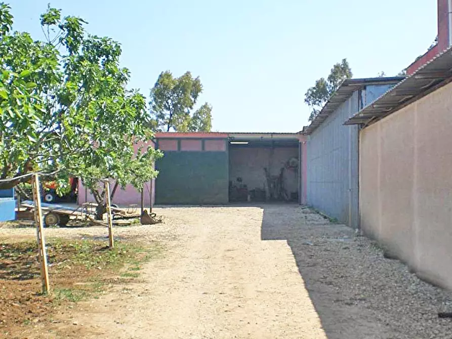 Immagine 6 di Azienda agricola in vendita  a Latiano