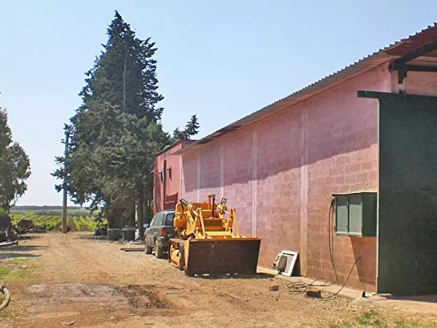 Immagine 7 di Azienda agricola in vendita  a Latiano
