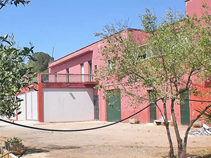 Immagine 8 di Azienda agricola in vendita  a Latiano