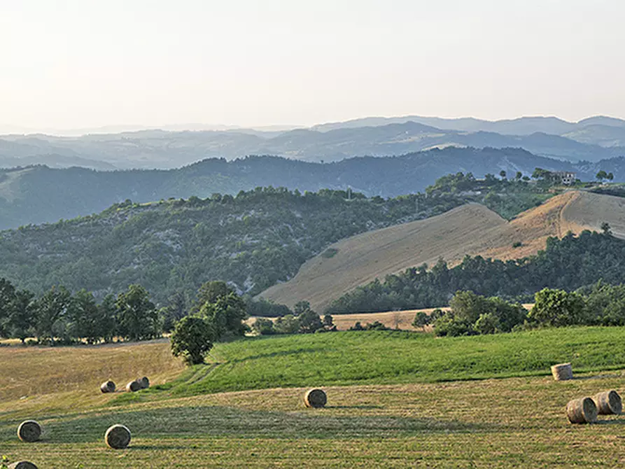 Immagine 3 di Albergo/B&B/Residence in vendita  a Città Di Castello