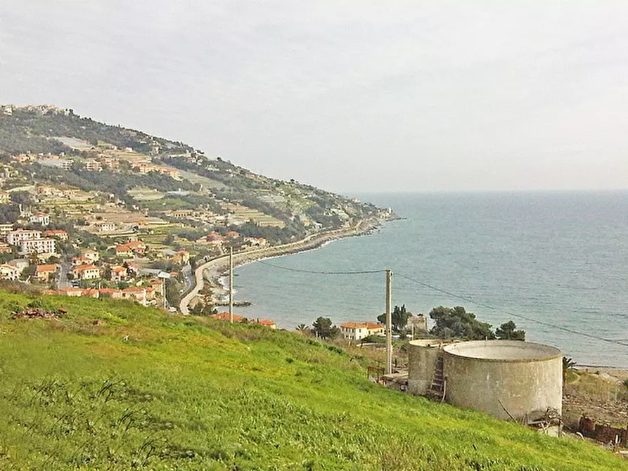 Immagine 3 di Terreno residenziale in vendita  a Badalucco