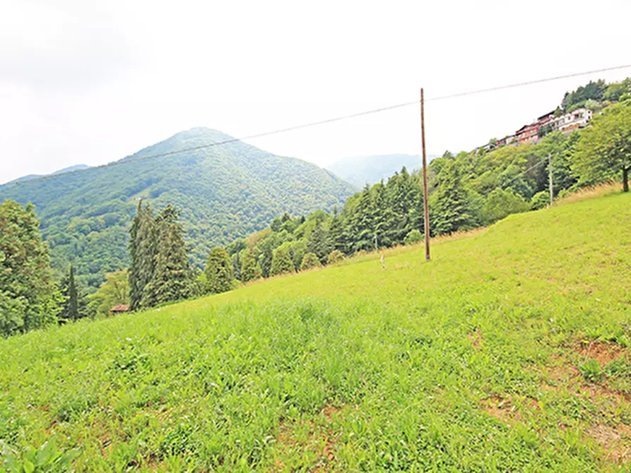 Immagine 2 di Terreno residenziale in vendita  a Gazzaniga