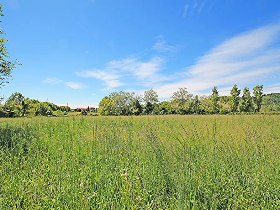 Immagine 3 di Terreno agricolo in vendita  a Ardesio