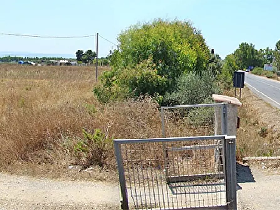 Immagine 3 di Terreno residenziale in vendita  a Alghero
