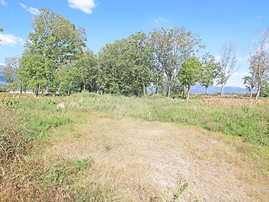 Immagine 2 di Terreno residenziale in vendita  a Almenno San Bartolomeo