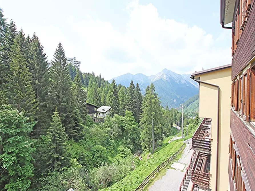 Immagine 2 di Albergo/B&B/Residence in vendita  a Algua