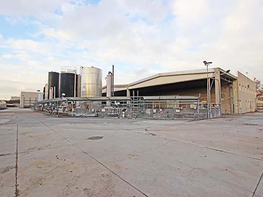 Immagine 5 di Capannone industriale in vendita  a Busto Arsizio