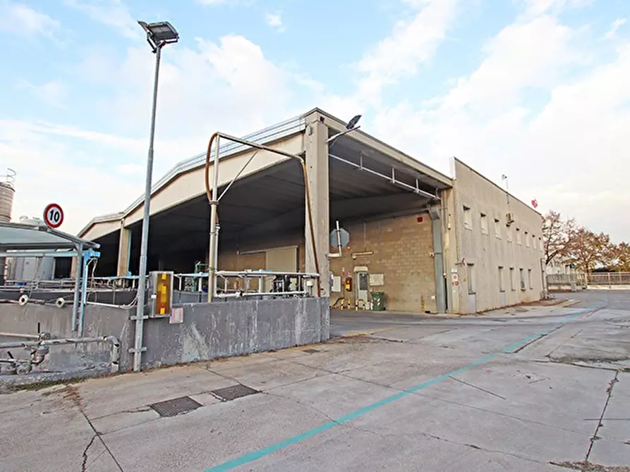 Immagine 6 di Capannone industriale in vendita  a Busto Arsizio