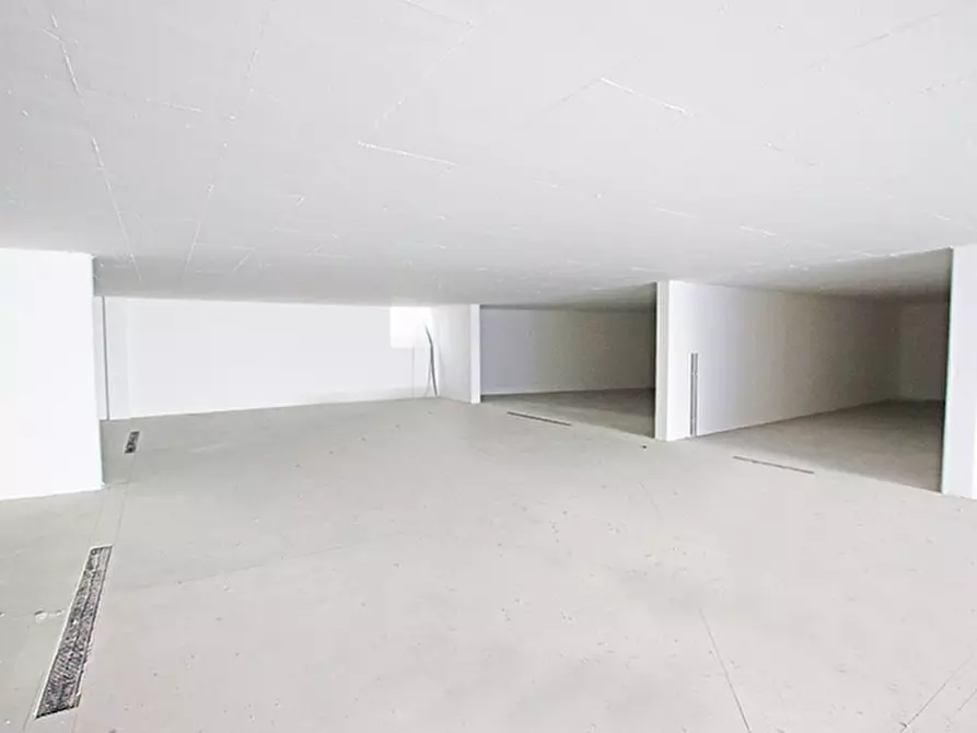 Immagine 24 di Appartamento in vendita  a Ardesio