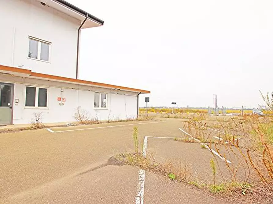 Immagine 7 di Capannone industriale in vendita  in Strada Provinciale 596 a Castelnovetto