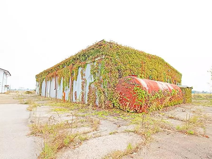 Immagine 18 di Capannone industriale in vendita  in Strada Provinciale 596 a Castelnovetto