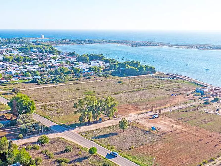 Immagine 3 di Terreno residenziale in vendita  a Porto Cesareo