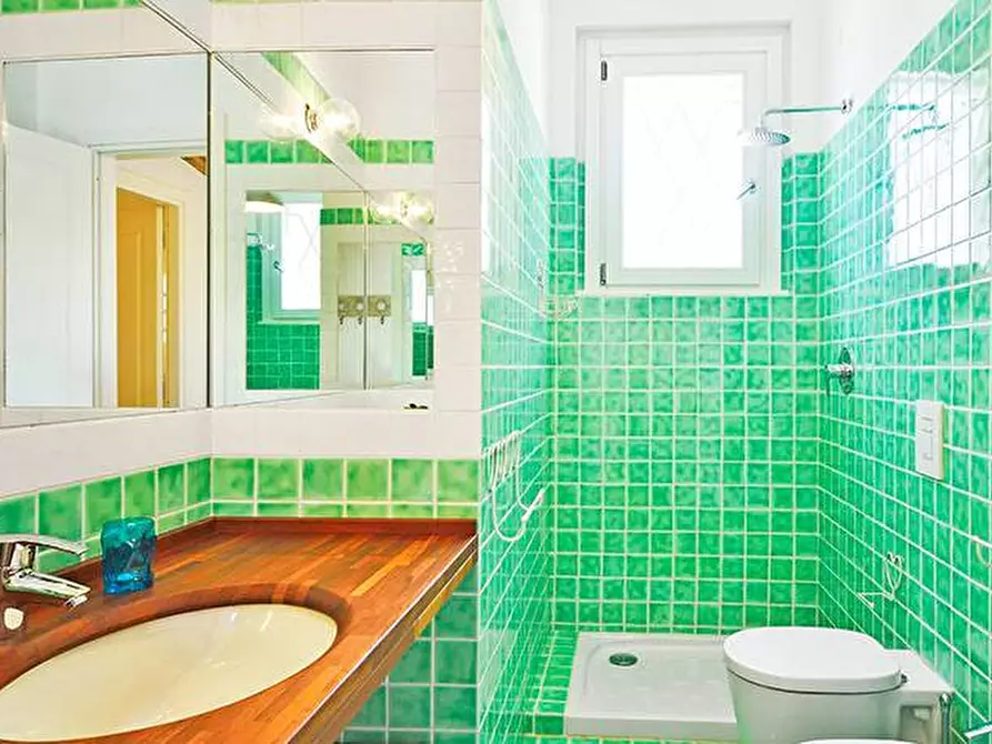 Immagine 39 di Villa in vendita  a Guasila