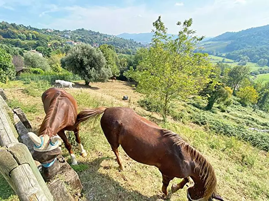 Immagine 17 di Villa in vendita  in via an rocco a Cenate Sotto