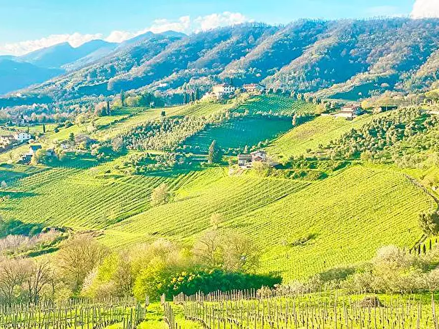 Immagine 48 di Villa in vendita  in via an rocco a Cenate Sotto