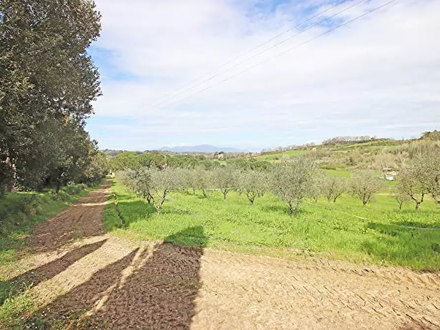 Immagine 53 di Rustico / casale in vendita  in via solferino a Terricciola
