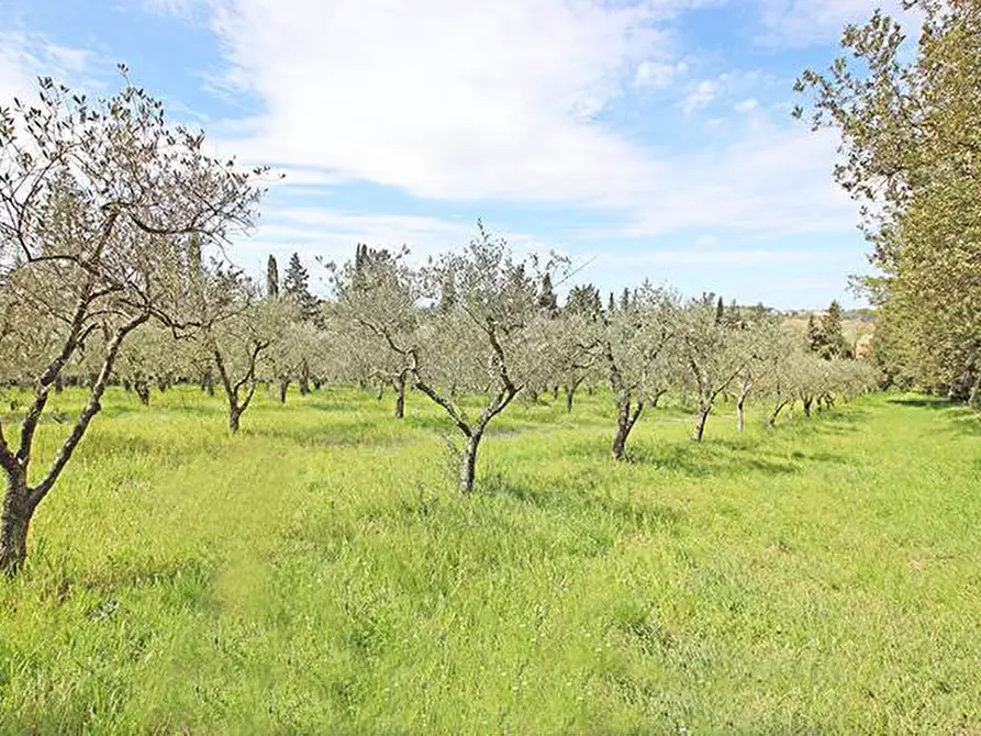 Immagine 54 di Rustico / casale in vendita  in via solferino a Terricciola
