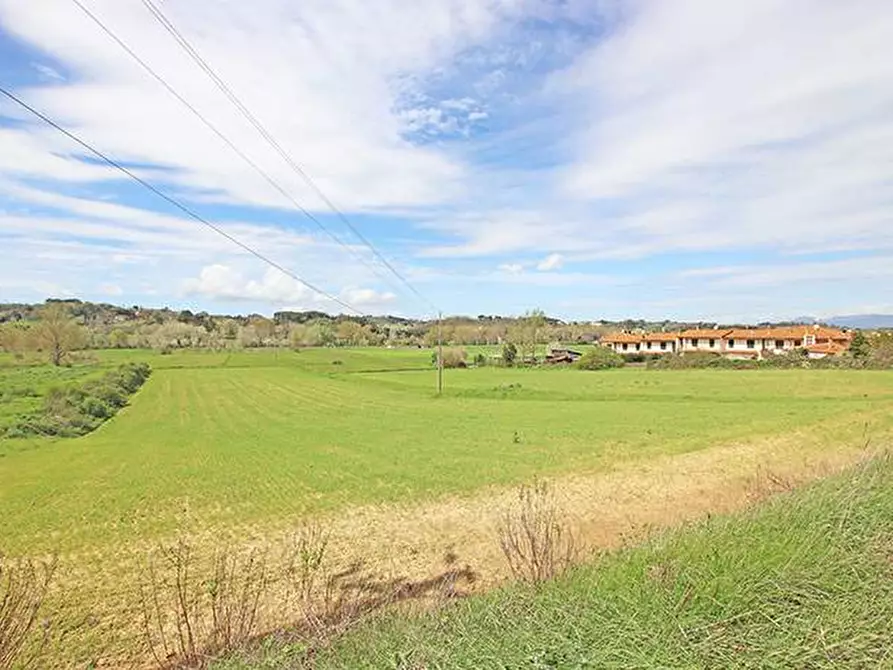 Immagine 56 di Rustico / casale in vendita  in via solferino a Terricciola
