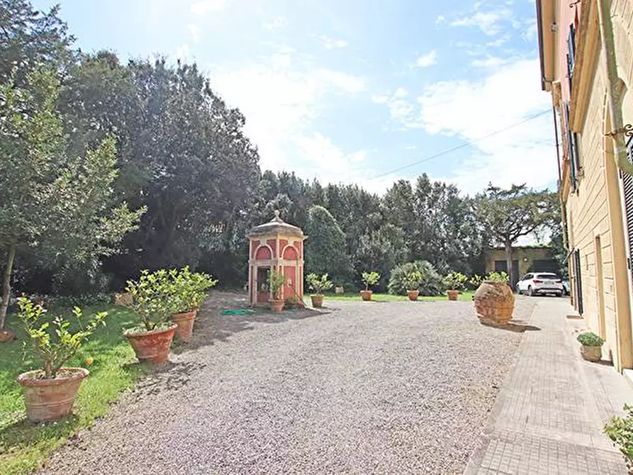 Immagine 3 di Rustico / casale in vendita  in via solferino a Terricciola