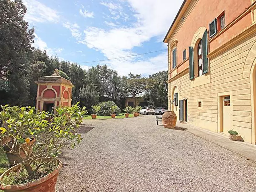 Immagine 5 di Rustico / casale in vendita  in via solferino a Terricciola