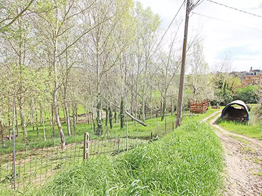 Immagine 35 di Rustico / casale in vendita  in via solferino a Terricciola