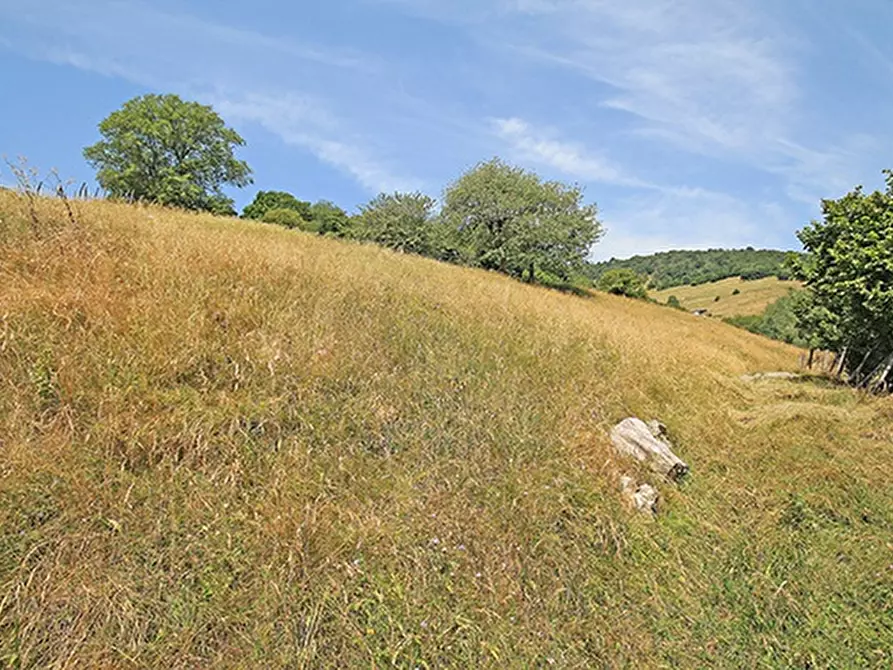 Immagine 14 di Rustico / casale in vendita  in cascina costa grande a Adrara San Martino