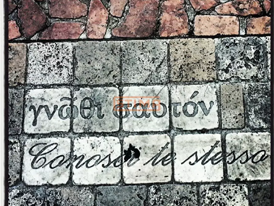 Immagine 6 di Villa in vendita  a Treviso
