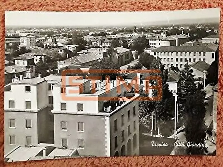 Immagine 7 di Villa in vendita  a Treviso