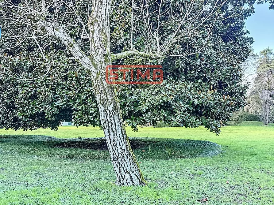 Immagine 31 di Villa in affitto  a Preganziol