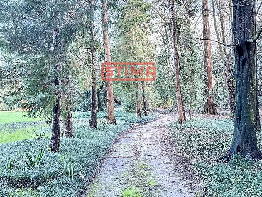 Immagine 32 di Villa in affitto  a Preganziol