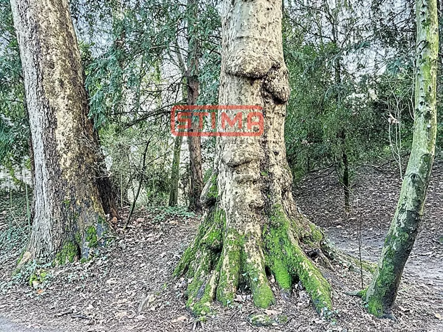 Immagine 34 di Villa in affitto  a Preganziol