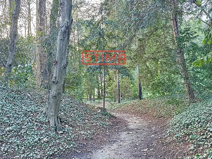 Immagine 35 di Villa in affitto  a Preganziol