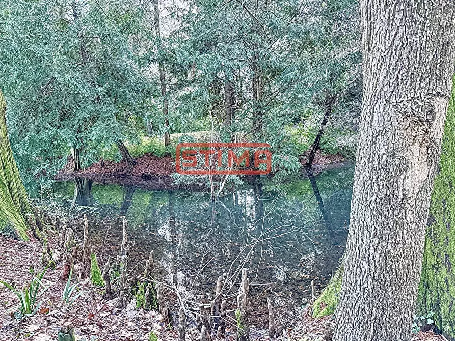 Immagine 48 di Villa in affitto  a Preganziol