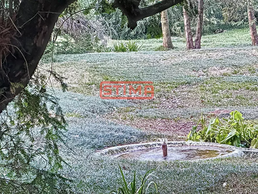 Immagine 49 di Villa in affitto  a Preganziol