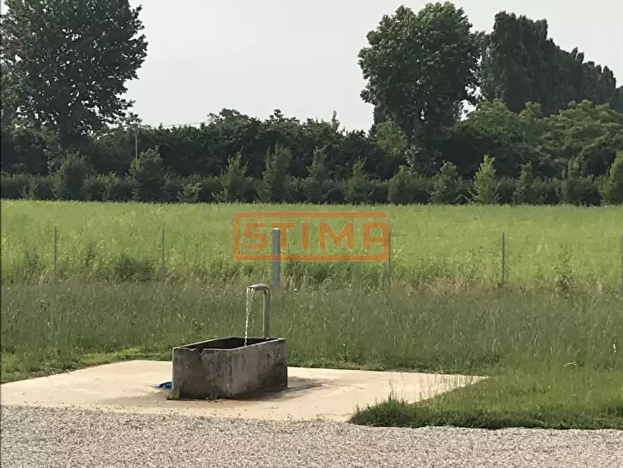 Immagine 7 di Villa in affitto  a Silea