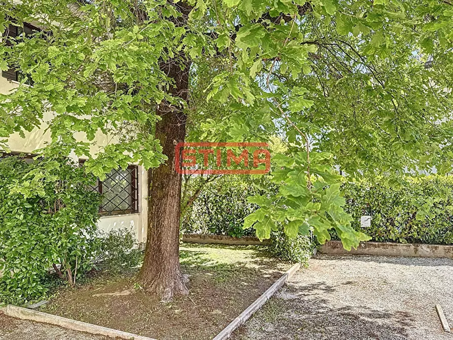 Immagine 3 di Ufficio in affitto  a Treviso