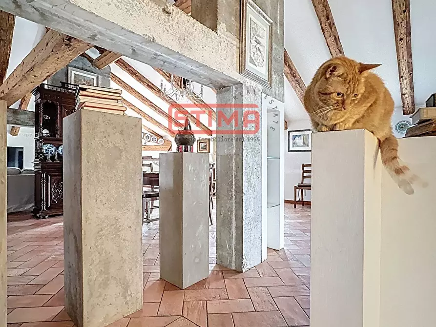 Immagine 17 di Rustico / casale in vendita  a Paese