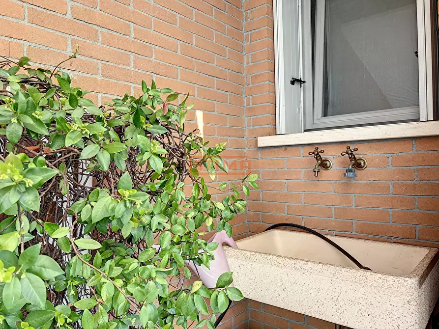 Immagine 39 di Appartamento in affitto  a Treviso