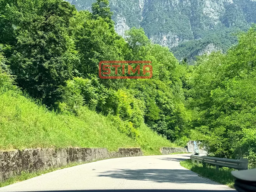 Immagine 75 di Appartamento in vendita  in località MOlassa a Barcis