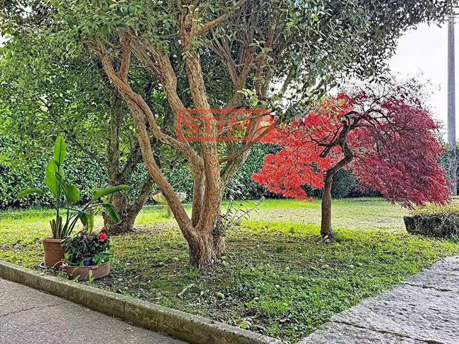 Immagine 4 di Rustico / casale in vendita  a Paese