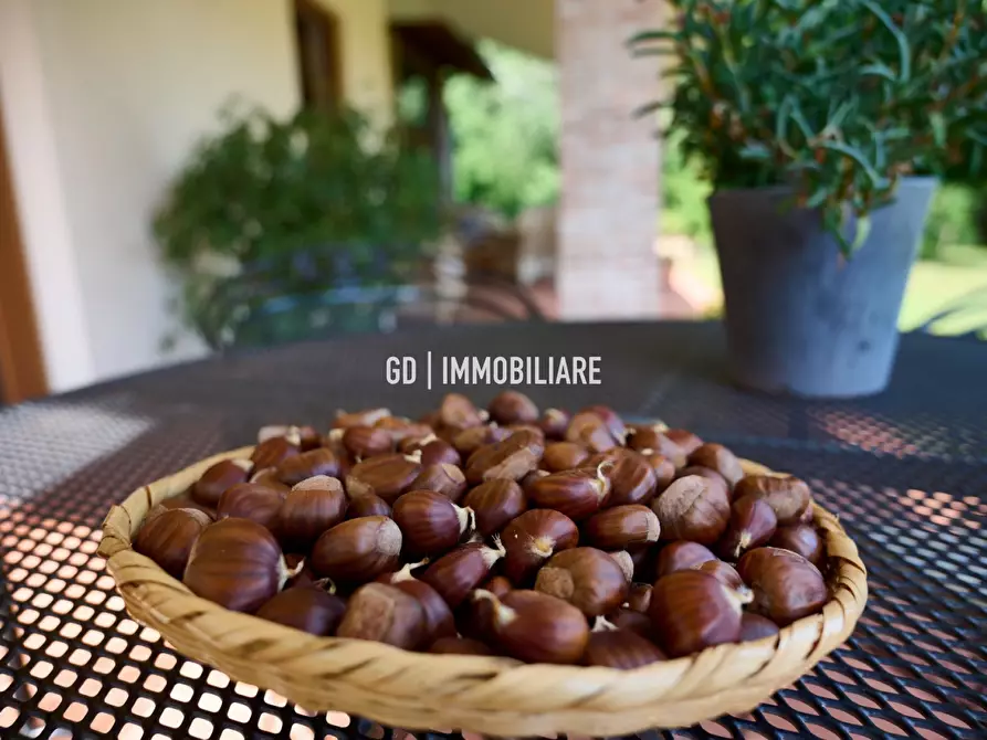 Immagine 18 di Villa in vendita  in VIA 18 GIUGNO 48 a Montebelluna